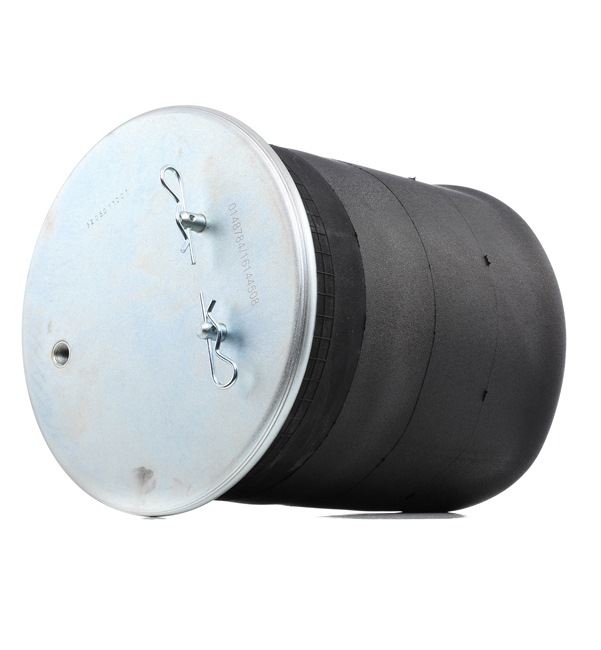 RIDEX Muelle neumático, suspensión 4119A0064 a un precio bajo