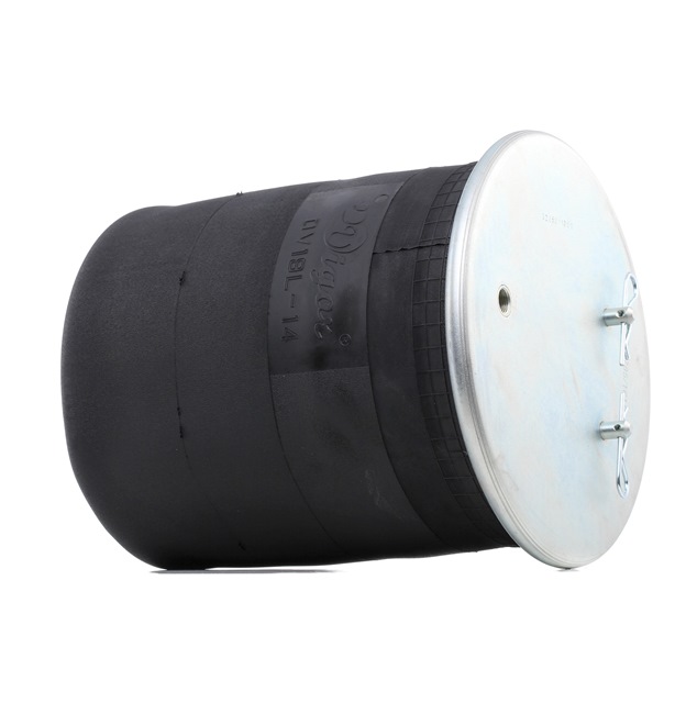 RIDEX 4119A0064 Calidad y precios justos