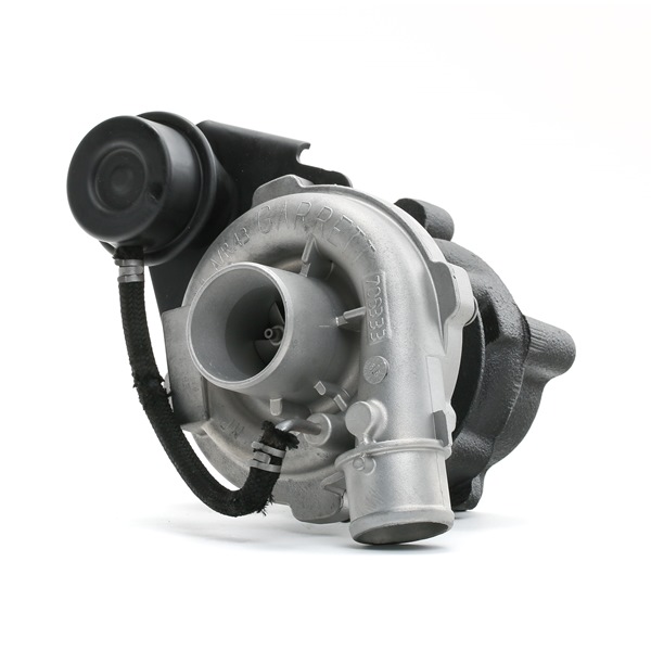 RIDEX REMAN 2234C10194R Spitzenqualität zu preiswerten Preisen