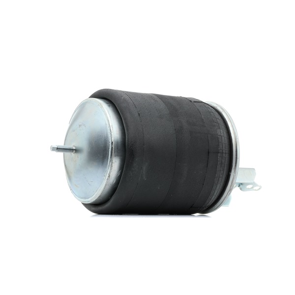 RIDEX 4119A0069 luchtbalg 2045 6150