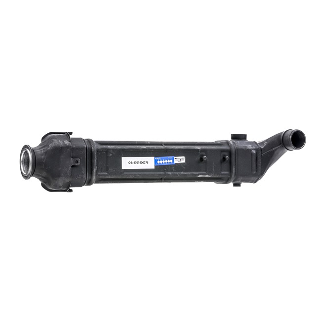RIDEX REMAN 4198E0048R A-kwaliteit en eerlijke prijzen