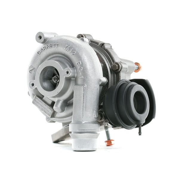 RIDEX REMAN 2234C10273R 1A-Qualität und faire Preise
