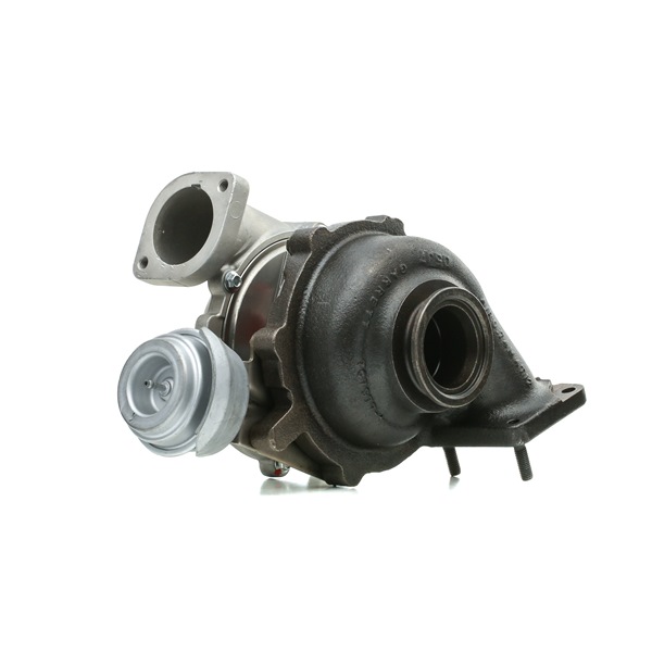 RIDEX REMAN 2234C10279R Calidad y precios justos