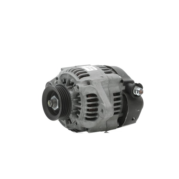 RIDEX REMAN 4G1264R Lichtmaschine Piaggio Porter Kastenwagen 1.3 16V 65 PS Benzin 2006