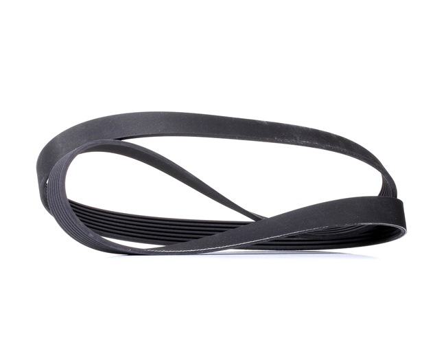RIDEX 305P0485 multiriem 11 28 7 557 257