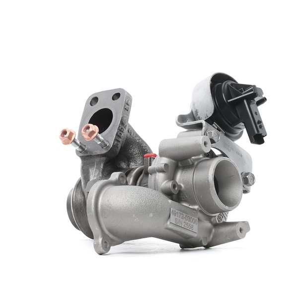 RIDEX REMAN 2234C10290R Turbokompresorius DS DS3 Hatchback 1.6 BlueHDi 100 (SABHY0, SABHYT) 99 AG dyzelinas 2015