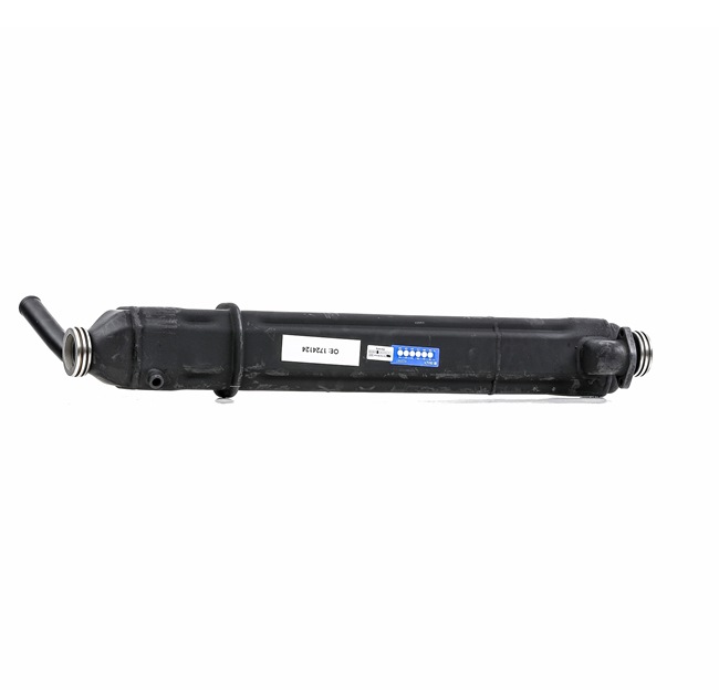 RIDEX REMAN 4198E0054R Calidad y precios justos