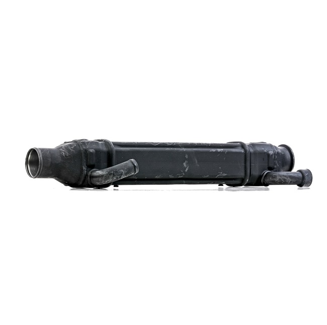 RIDEX REMAN 4198E0055R qualité haut de gamme et prix abordables