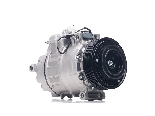 RIDEX 447K0539 aircopomp JPB000040