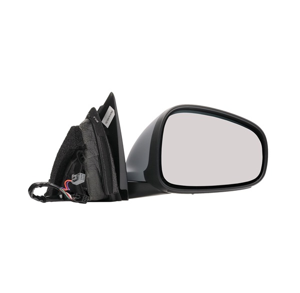 RIDEX 50O0890 buitenspiegel 50529384