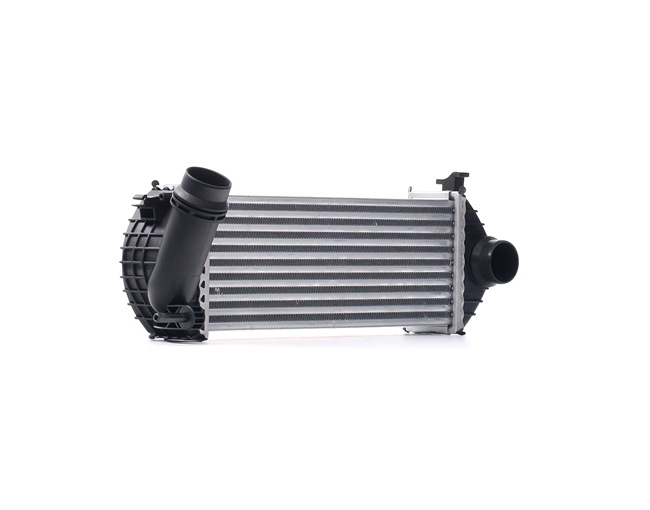 RIDEX 468I0211 Chladič plniaceho vzduchu Renault Grand Kangoo