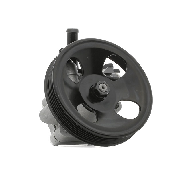 RIDEX 12H0273 Calidad y precios justos