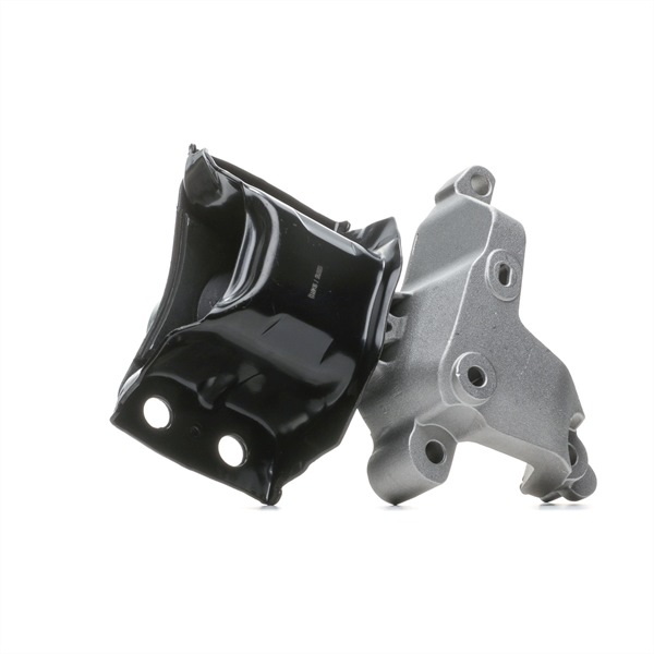 RIDEX 247E0619 replacement RENAULT Twingo II Box Body / Hatchback (CNO_) engine mount rear and front price