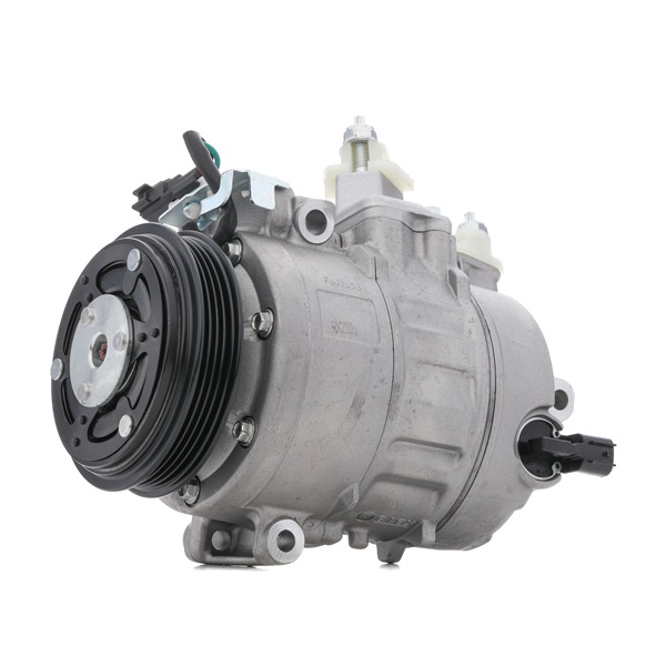 RIDEX DG9H19D629CD Aircopomp 447K0542