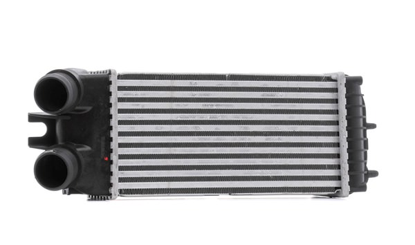 RIDEX 468I0311 Intercooler Citroën Xsara Picasso