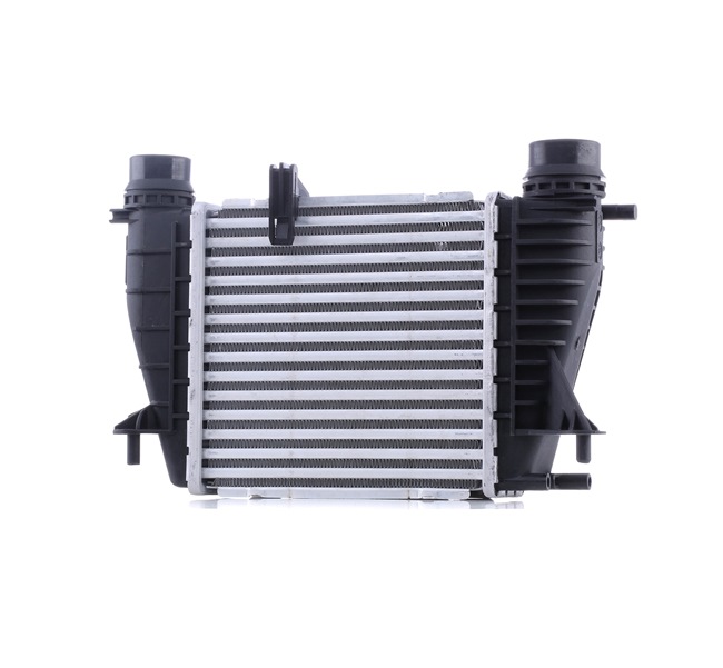 RIDEX 468I0342 Chladič plniaceho vzduchu Renault Clio 3