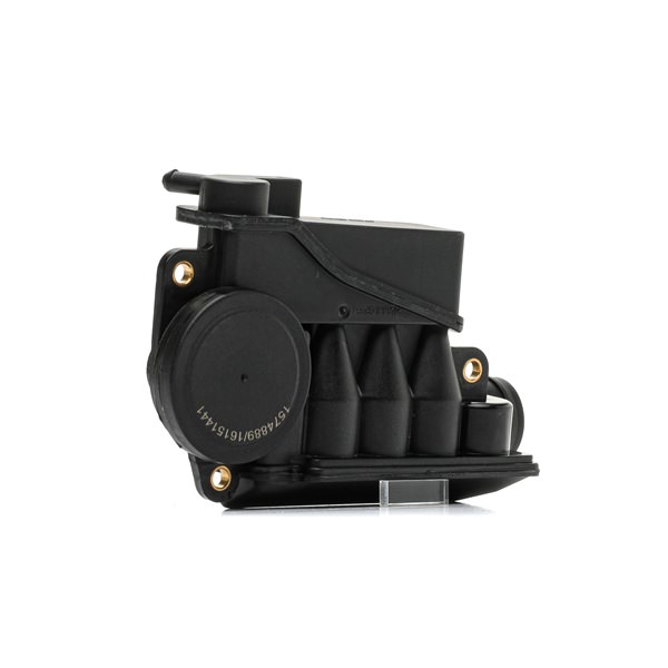 RIDEX 3886V0068 Sistema de respiro do motor Audi A4 B7 RS4 4.2 quattro 420 cv Gasolina 2008