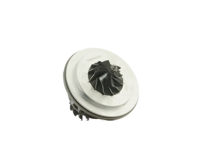 RIDEX 06F 145 701 C Turbo patroon 4973C0090