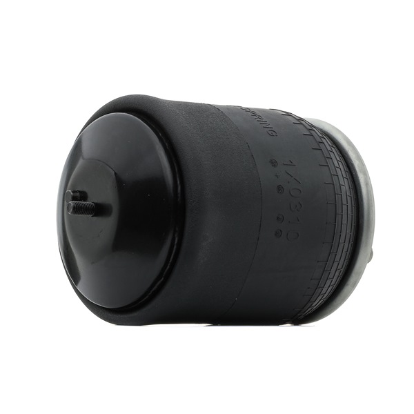 RIDEX 4119A0079 luchtbalg 22058737