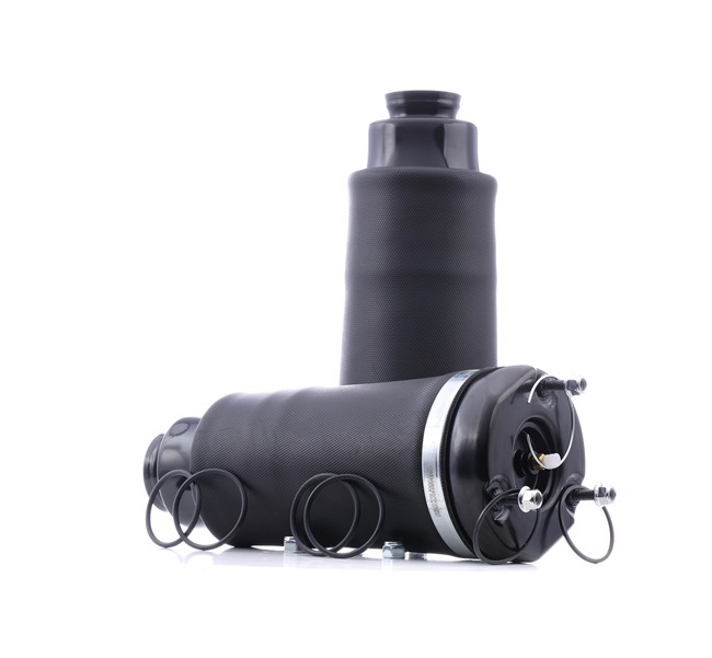 RIDEX 4119A0082 1A-Qualität und faire Preise
