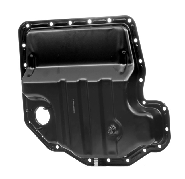 RIDEX 592O0171 carterpan 11 13 1 702 891