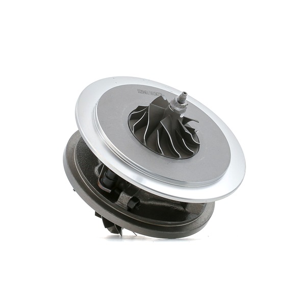 RIDEX 172010G01C Turbo patroon 4973C0093