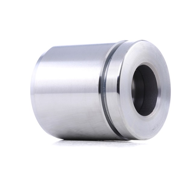 RIDEX 2248P0051 Calidad y precios justos