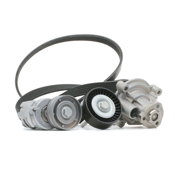 RIDEX 4172P0055 Keilrippenriemensatz Passat B6 Variant 1.6 FSI 115 PS Benzin 2008
