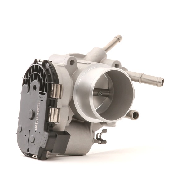 RIDEX 158T0258 Drosselklappe HYUNDAI Kosten