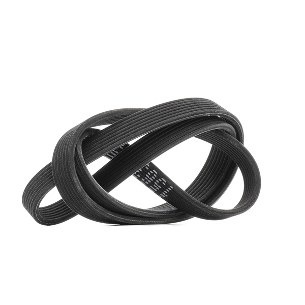 RIDEX 305P0486 multiriem 11287808107