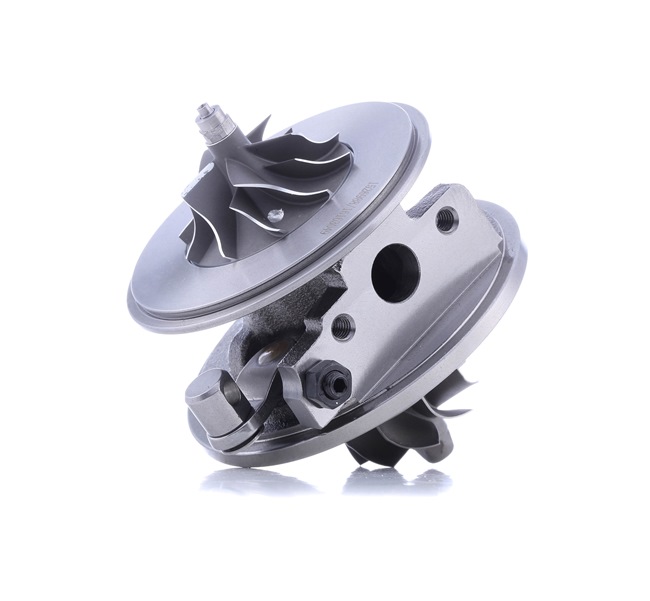 RIDEX 4973C0101 Turbokompresorius VW Golf 1k5 1.9 TDI 4motion 105 AG dyzelinas 2008