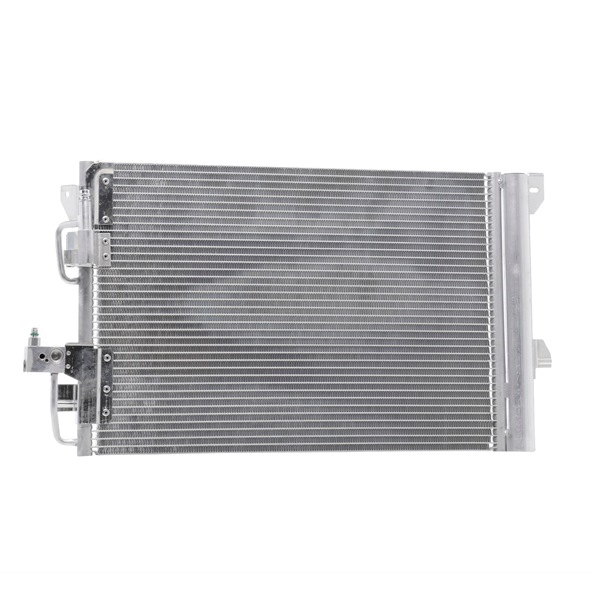 DELPHI CF20552 höchste Qualität