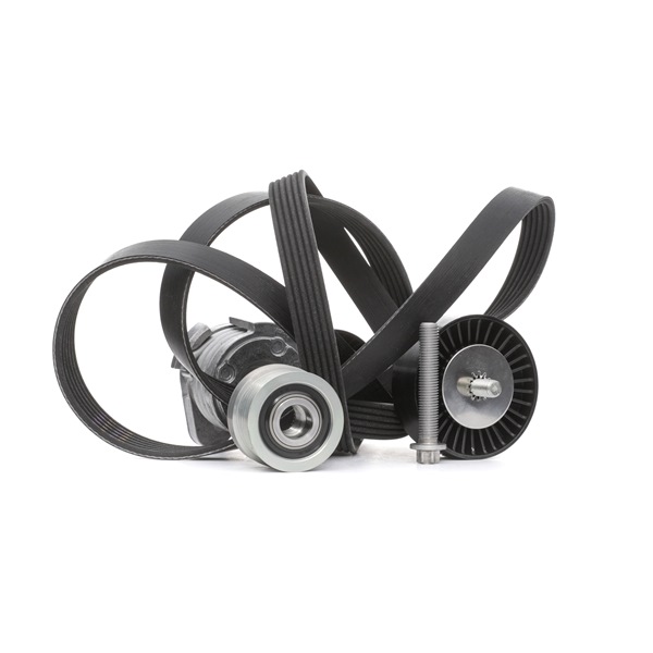 INA 529 0043 20 poly v-riem set 7628650