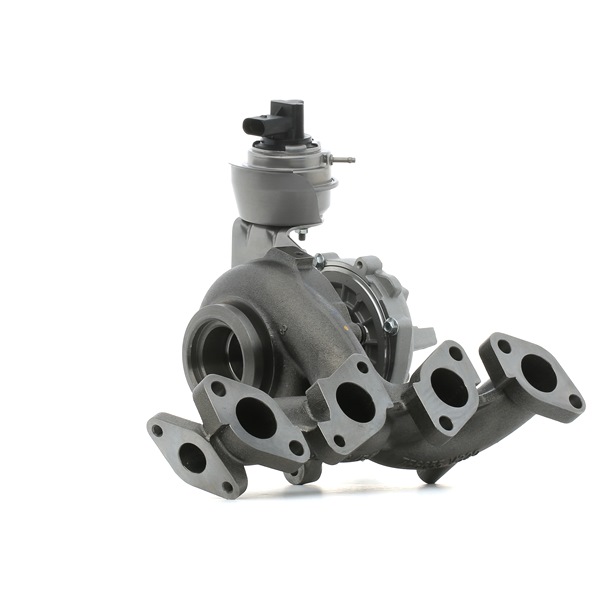 RIDEX 2234C10484 turbo Passat B6 Variant 2.0 TDI 4motion 170 hk Diesel 2010