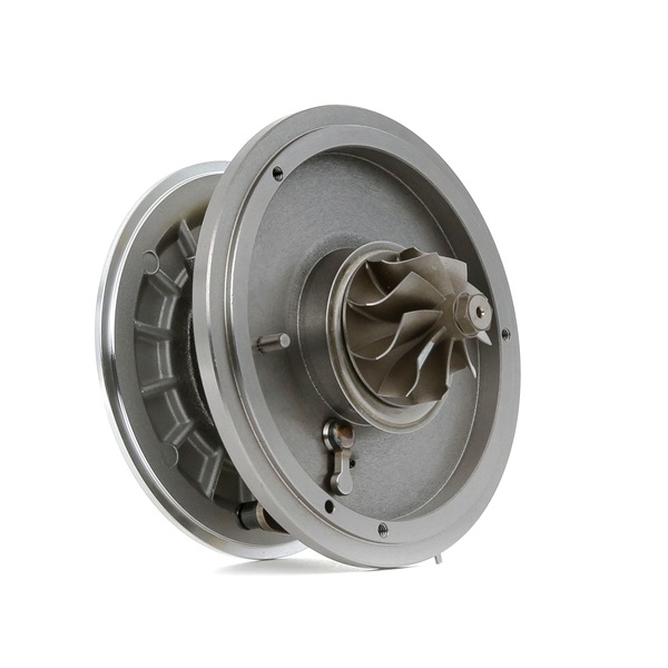 RIDEX 4973C0103 Plniace dúchadlo Opel Zafira B