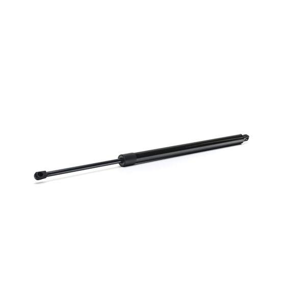 RIDEX 219G0981 gasveer achterklep 447 980 0364