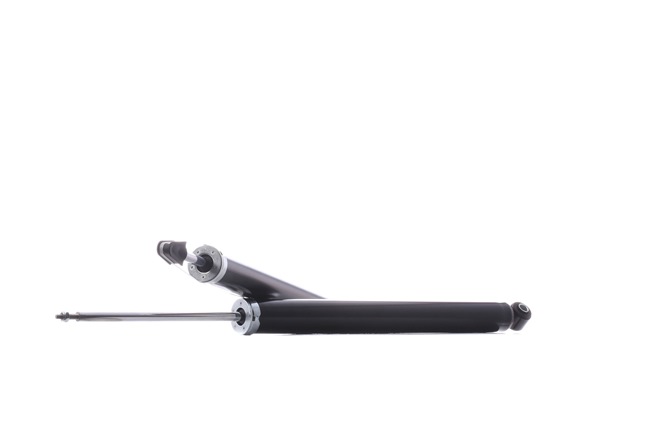 RIDEX 854S17971 Calidad y precios justos