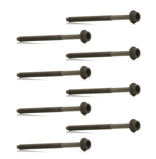 RIDEX 1217B0139 cilinderkopbouten 036 103 384B