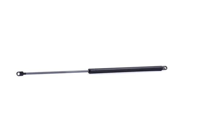 RIDEX 219G0985 gasveer achterklep 95 598 999