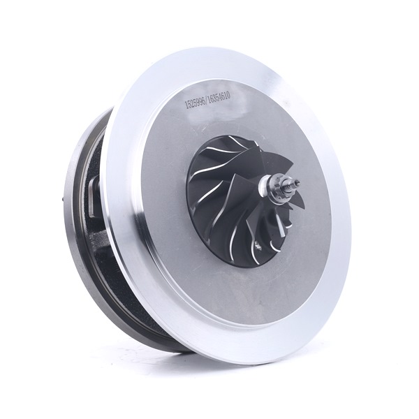RIDEX 4973C0113 turbo patroon 77.01.474.327