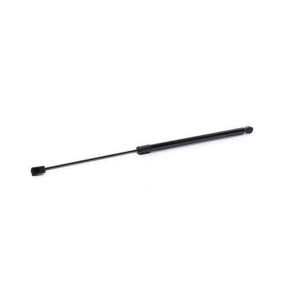 RIDEX 219G0989 Vysoká značková kvalita