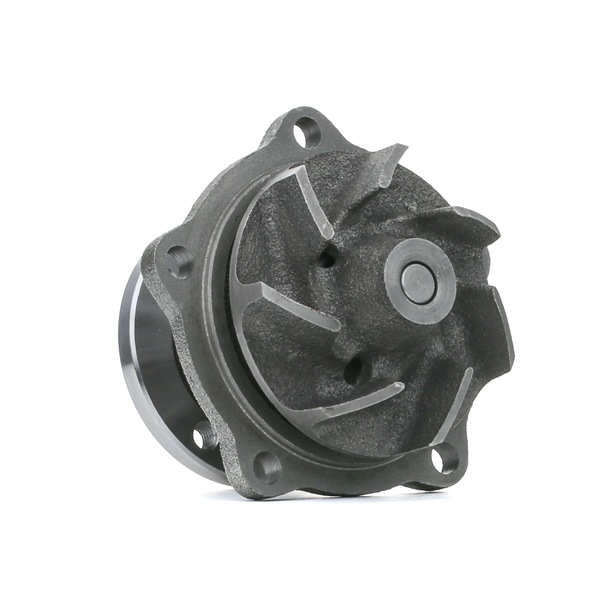 1260W0476 RIDEX 1610069035 Wasserpumpe
