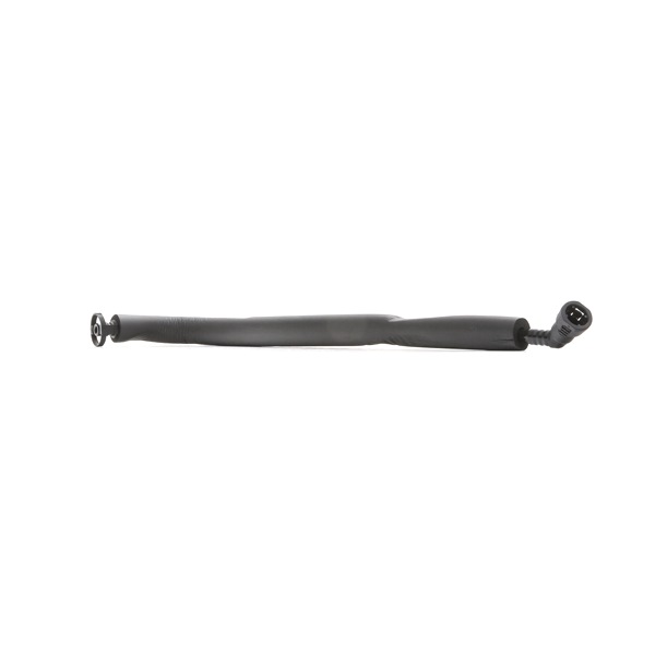 RIDEX 1600H16000039 slang, ontluchting motorblok 11617504536