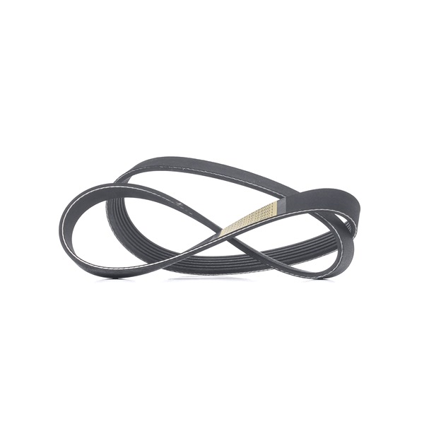 SKF Correa trapecial poli V VKMV 6PK987 a un precio bajo