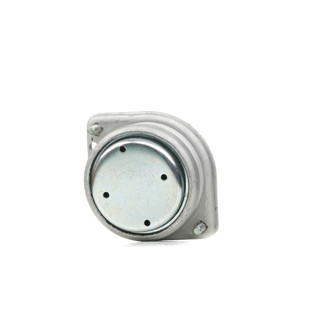 RIDEX 247E0702 Calidad y precios justos