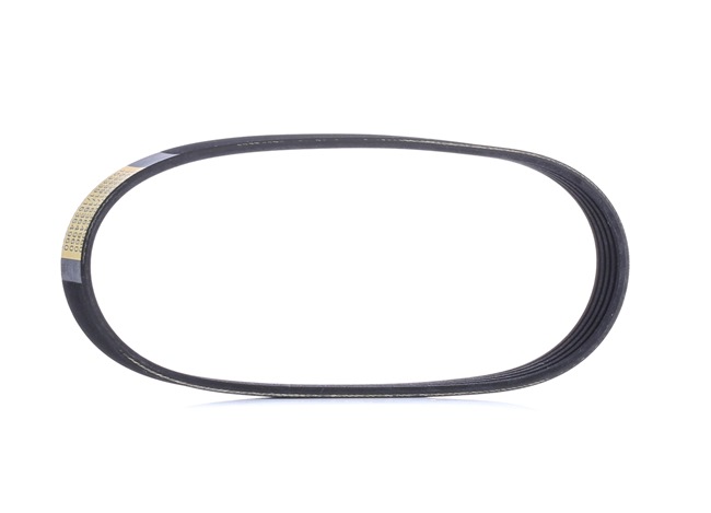 RIDEX 305P0498 multiriem 51761850