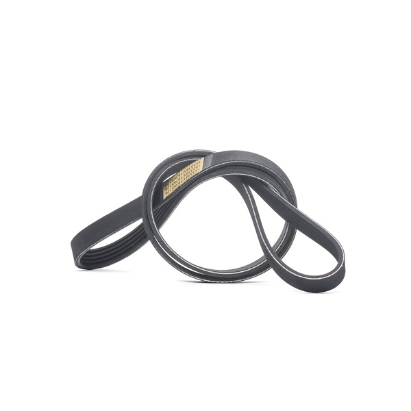 RIDEX 305P0500 Ιμάντας poly-V Corsa C X01 1.2 Twinport (F08, F68) 80 PS Βενζίνη 2006