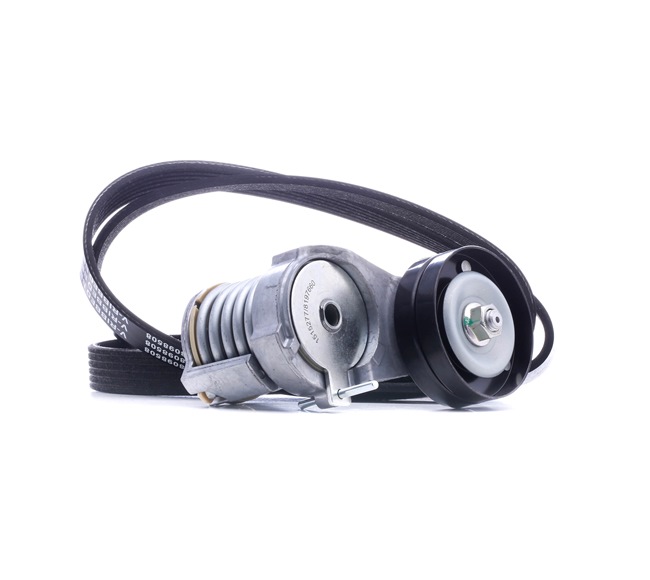 RIDEX 542R0647 Keilrippenriemensatz VW Bora 1j2 1.6 FSI 110 PS Benzin 2005