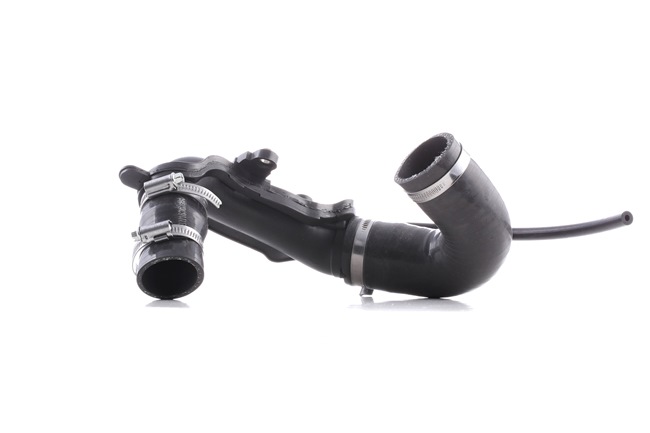 RIDEX 3314C0378 laadluchtslang RENAULT Megane E-Tech