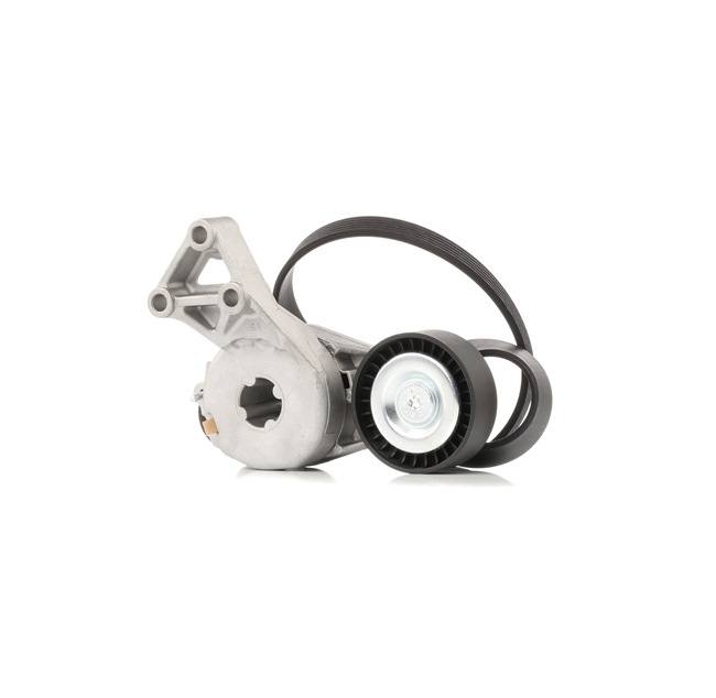 STARK SKRBS-1200648 Kit cinghia servizi VW Passat B6 Variant 2.0 FSI 4motion 150 CV Benzina 2007